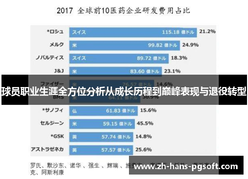球员职业生涯全方位分析从成长历程到巅峰表现与退役转型
